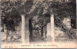 17 MIRAMBEAU - Le Château - Porte Gallo Romaine - Mirambeau