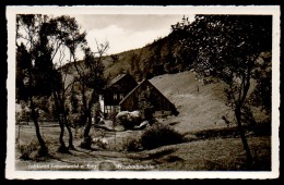 6676 - Alte Foto Ansichtskarte - Frauenwald Am Rennsteig - Fraubachmühle Mühle - N. Gel. Trinks - TOP - Schmiedefeld