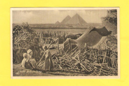 Postcard - Egypt     (23434) - Piramidi