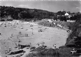 Kerfany-les-Pins Haut De La Plage Et Les Bois - Moëlan-sur-Mer