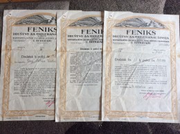 LIFE INSURANCE POLICY BEOGRAD    SERBIA   1927.  FENIKS - Banque & Assurance