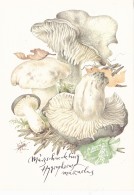 # BV 3207   MUSHROOM,  HYGROPHORUS MARZUOLUS, CHAMPIGNON, POST CARD, POSTAL STATIONERY,  GERMANY - Pilze