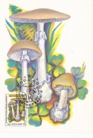 # BV 3223   MUSHROOM, CHAMPIGNON, CM, CARTE MAXIM , 1986, RUSSIA - Pilze