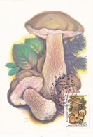 # BV 3225   MUSHROOM, CHAMPIGNON, CM, CARTE MAXIM , 1986, RUSSIA - Mushrooms