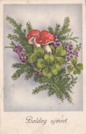 # BV 3232  MUSHROOM, CHAMPIGNON, NEW YEAR, 1941, POST CARD - Mushrooms