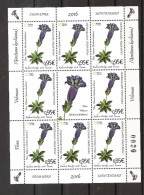 MONTENEGRO 2016,,FLORA ,PLANTS,GENTIANA KOCHIANA,,PROTECTED,sheet,MNH - Geneeskrachtige Planten