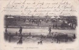 BAUGY - Carte Précurseur - Le Champ De Foire - Animé - Baugy