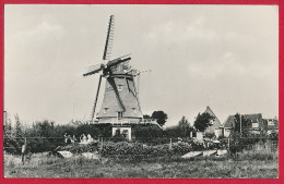 2 Foto-AK NIERDERLANDE 'Terschelling' ~ 1962 - Terschelling