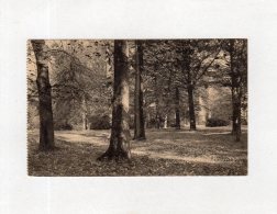 64256   Belgio,  Royaume De Belgique,  Domaine De Mariemont,  Le  Parc - Sous-Bois Vers L"entree Principale,  VG  1924 - Morlanwelz