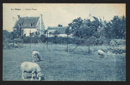 +++ CPA - LA HULPE - Little Farm  // - La Hulpe