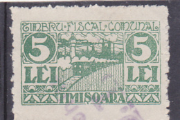 # 193 REVENUE STAMP, COMMUNAL STAMP, TIMISOARA, 5 LEI, ONE STAMP, ROMANIA. - Steuermarken