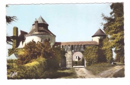 37 Reugny Chateau De La Vallière Vestiges Forteresse Rive Gauche De La Brenne , Carte Non Voyagée - Reugny