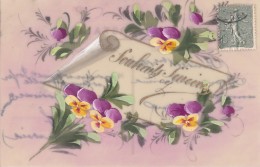 Matériaux - Celluloïd Celluloïde - Carte Porcelaine - Carte Peinte - Fleurs Pensées - 1905 - Cartes Porcelaine
