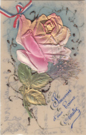 Matériaux - Celluloïd Celluloïde - Carte Porcelaine - Découpi Rose Fleurs Séchées Ruban Bleu Blanc Rouge - Cartoline Porcellana