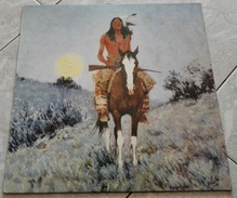 LP 12" L’INDIANO FABRIZIO DE ANDRE’ 1981 - Autres - Musique Italienne
