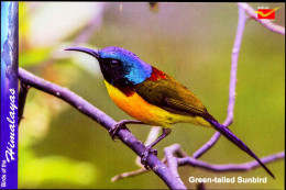 BIRDS-BIRDS OF THE HIMALAYAS-GREEN TAILED SUNBIRD-INDIA POST PPC-MNH-BX1-364 - Colibris