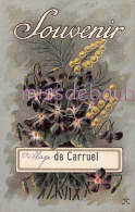 33 - SAINT SEURIN - Illustration - Fleurs - Souvenir De Carruel - 2 Scans - Altri Comuni