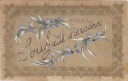 Matériaux - Celluloïd Celluloïde - Carte Porcelaine - Peinte - Souhaits Sincères - Cartes Porcelaine