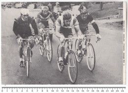 Wielrennen Cyclisme Eddy Merckx - Dancelli - Dyundam - Julien Stevens - Ciclismo