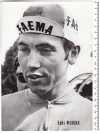 Wielrennen Cyclisme Eddy Merckx - Faema - Ciclismo