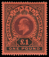 *        110-16 (165-71) 1908-09 6d-£1 K Edward VII^ Postage Set, Wmkd MCA, Perf 14, Cplt (7), OG, VLH, VF... - Natal (1857-1909)