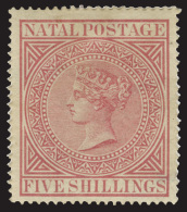 *        56 (71) 1882 5' Maroon Q Victoria^, Wmkd CC (sideways), Perf 14, Scarce And Undercatalogued Mint, OG, VLH,... - Natal (1857-1909)