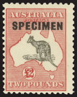 S        101 Var-102 Var (112s-114s) 1929 10'-£2 Kangaroo^ Handstamped "Specimen", Wmkd Small Crown Over A... - Neufs