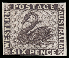 P        16 Var (28 Var) 1860 6d Purple Swan^, Color Trial On Wove Paper, Scarce, Imperf, Four Margins, VF... - Neufs