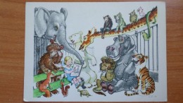 OLD USSR Postcard  - Painter Rotov "Interesting Book" - Bear - Hippo - Turtle - Elephant - 1962 - Nijlpaarden