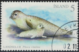 Islande 2010 Oblitéré Used Animaux Veau Marin Phoca Vitulina Phoque Commun Y&T IS 1188 - Used Stamps