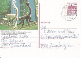 Delcampe - DBR 1986 - Stuttgart Zoo Wilhelma  : Gibbons - Singes