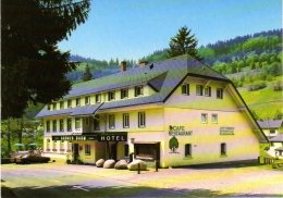 Todtnau Muggenbrunn - Hotel Pension Grüner Baum - Todtnau