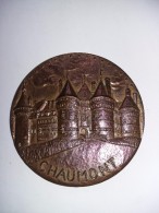 MEDAILLE : CHATEAU DE CHAUMONT - Sonstige & Ohne Zuordnung