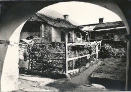 Losone - Innenhof Mit Garten           1952 - Losone
