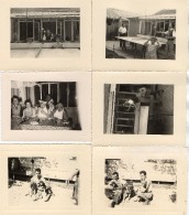 PHOTO 376 - Série De 23 Photos Originales 10,5 X 8 - Maison - Chiens - Berger Allemand - VILLEPARISIS - Places