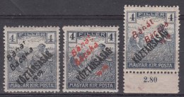Hungary Banat Bacska 1919 Mi#25 A (black) And B (red) Overprint Type, B Type In Two Colours (red And Carmin) Mint Hinged - Banat-Bacska