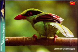 BIRDS-BIRDS OF THE HIMALAYAS-COMMON KINGFISHER-INDIA POST PPC-MNH-BX1-364 - Pics & Grimpeurs