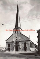 Sint-Pieterskerk Hamme - Hamme