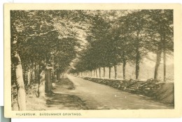 ANSICHTKAART * HILVERSUM * BUSSUMMER GRINTWEG  (3882d) - Hilversum