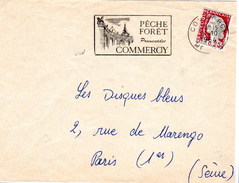 M. De Decaris  - 0,25 F - AFFRACH. INTERDIT: Timbre Découpé Sur Un Entier Postal - 1960 Marianne Van Decaris