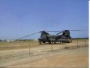 Boeing CH-47 Chinook Helicopter - Australian Army Helicopter At Horn Island Airport - Torres Strait QLD - Elicotteri