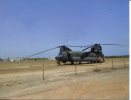 Boeing CH-47 Chinook Helicopter - Australian Army Helicopter At Horn Island Airport - Torres Strait QLD - Helikopters