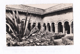 66 Elne Le Jardin  Intérieur Du Cloître  TBE - Elne