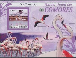 COMORES SHEET IMPERF LES FLAMANTS THE FLAMINGOS BIRDS - Flamingos
