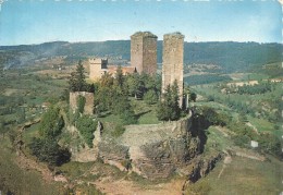 LOT - 46 - SAINT CERE - CPSM GF Couleur - Vue Générale Des Ruines Du Chateau - Saint-Céré