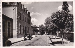 CARTE POSTALE     NANTIAT 87  La Mairie - Nantiat