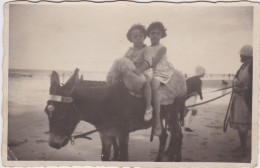 HEIST-FOTOKAART-EZELTJE-RIJDEN-OP HET STRAND-VERZONDEN IN 1931-VERVIERS-ZIE 2 SCANS-TOP ! - Heist