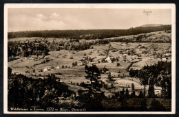 6752 - Alte Foto Ansichtskarte - Waldhäuser Neuschönau - Am Lusen - Gel - Fischer - Freyung