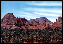 ÄLTERE POSTKARTE AL-ULA PALM GARDENS SAUDI ARABIA Saudi-Arabien Ansichtskarte AK Cpa Postcard - Arabie Saoudite