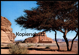 ÄLTERE POSTKARTE MADAIN SALEH NABATEAN TOMB Saudi Arabia Ansichtskarte AK Cpa Postcard - Saudi-Arabien